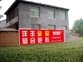 乐山如何让墙体广告展现最大化效果