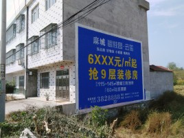 乐山墙体广告质量分析