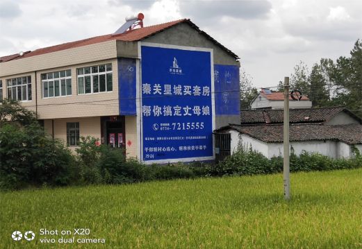 乐山决定墙体广告价格的因素有哪些?
