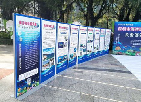 乐山KT板的种类和知识。